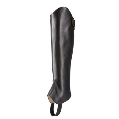 Ariat Kendron Chap Half Chap Muške Half Chaps Crne | HR-642797