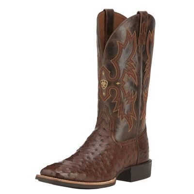 Ariat Quantum Classic Muške Zapadnjačke Čizme Smeđe | HR-329513