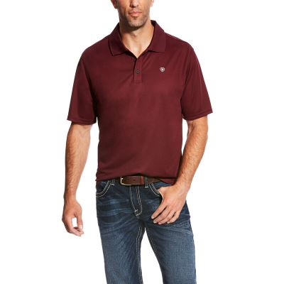 Ariat TEK Muške Polo Majice Bordo | HR-952856