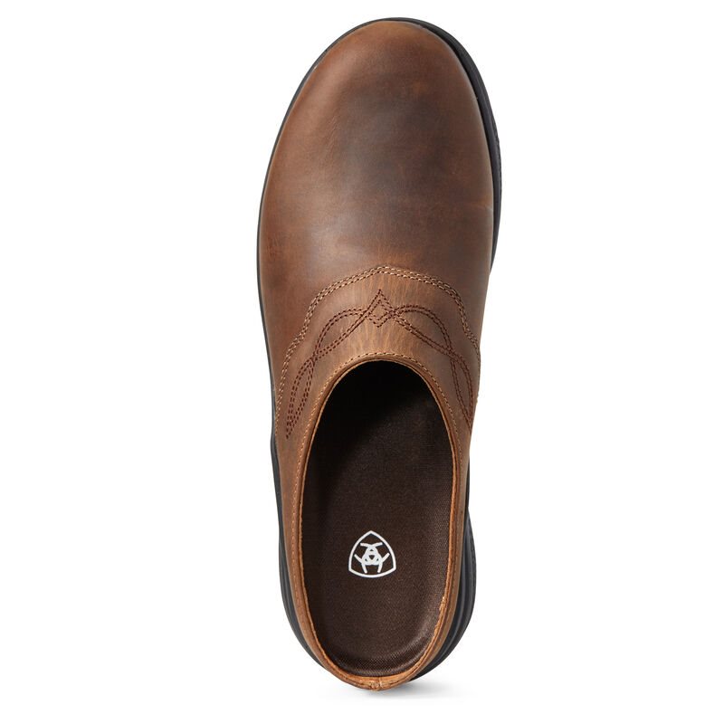 Ariat Bridgeport Mule Ženske Mules Smeđe | HR-146937