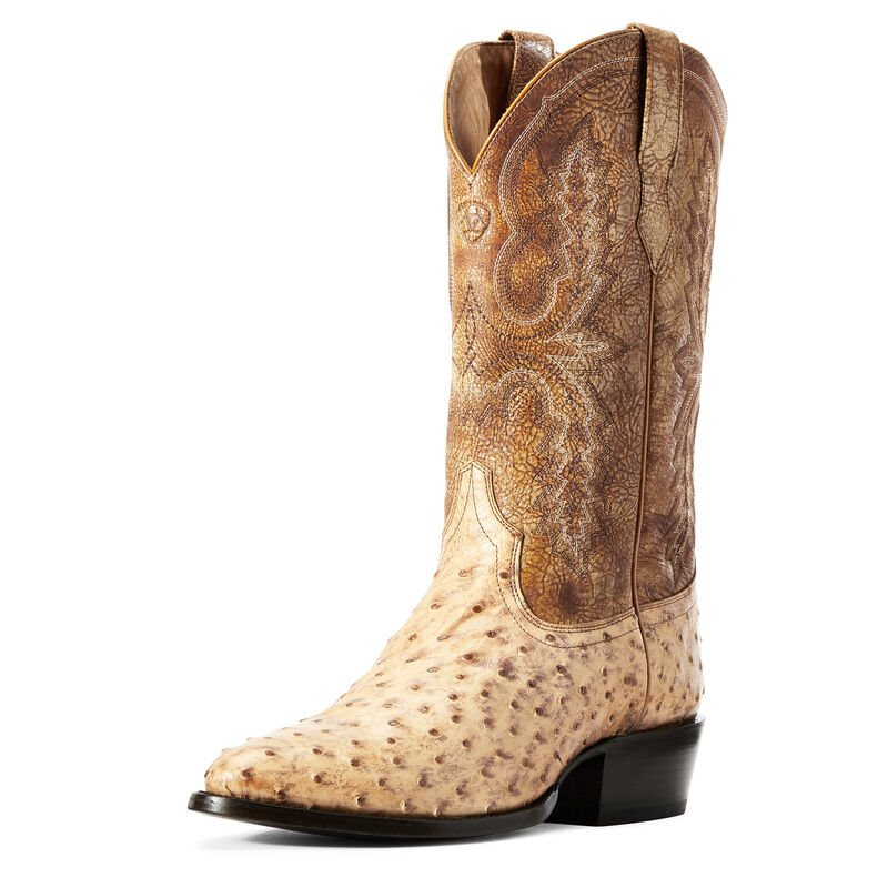 Ariat Circuit R Toe Exotics Muške Zapadnjačke Čizme Smeđe | HR-814510