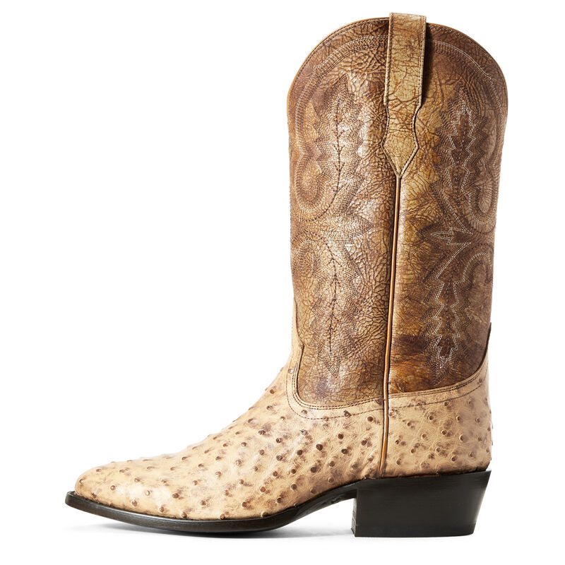 Ariat Circuit R Toe Muške Zapadnjačke Čizme Smeđe | HR-498943