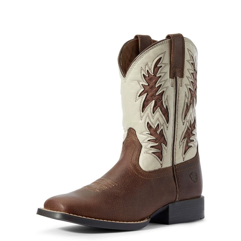 Ariat Cowboy VentTEK Dječje Kaubojske Čizme Smeđe | HR-853151