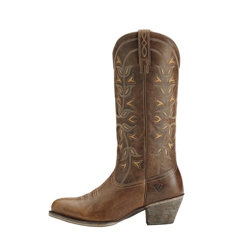 Ariat Desert Holly Ženske Zapadnjačke Čizme Smeđe | HR-716792