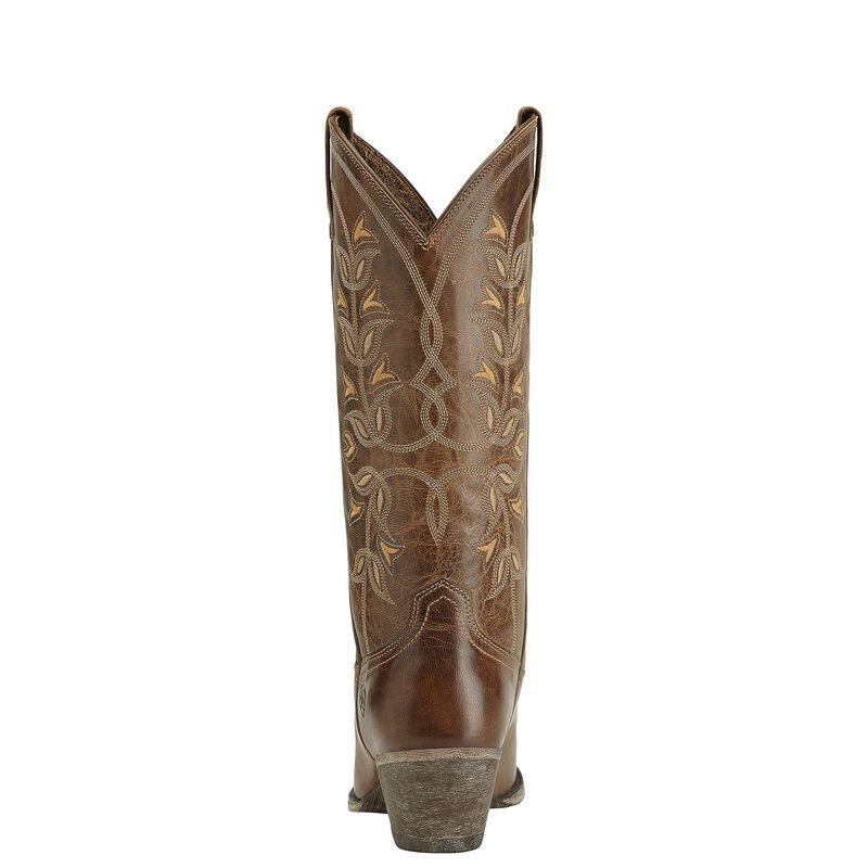 Ariat Desert Holly Ženske Zapadnjačke Čizme Smeđe | HR-716792