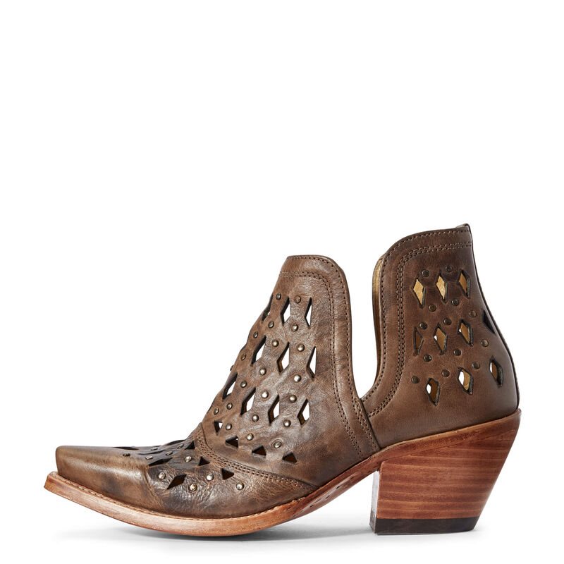 Ariat Dixon Studded Ženske Zapadnjačke Čizme Kafe | HR-285525