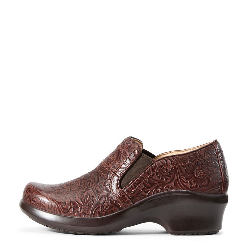 Ariat Expert Clogs SD Ženske Klompe Smeđe | HR-563202