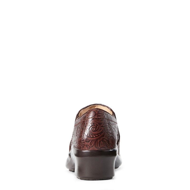 Ariat Expert Clogs SD Ženske Klompe Smeđe | HR-563202