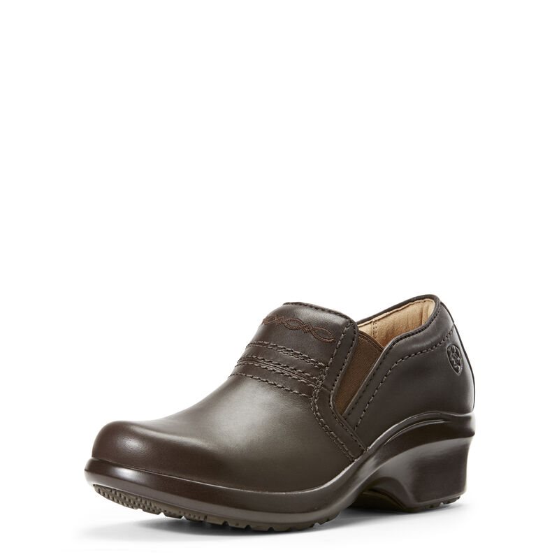 Ariat Expert Clogs SD Ženske Klompe Tamno Smeđe | HR-143519