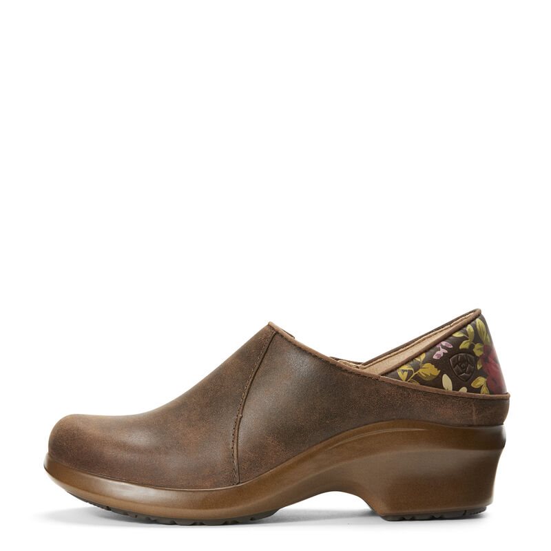 Ariat Hera Expert Clogs Ženske Klompe Smeđe | HR-051259