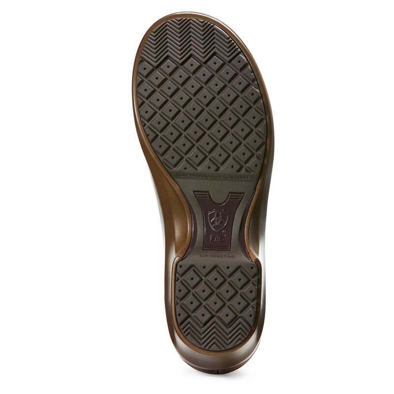 Ariat Hera Expert Clogs Ženske Klompe Smeđe | HR-051259