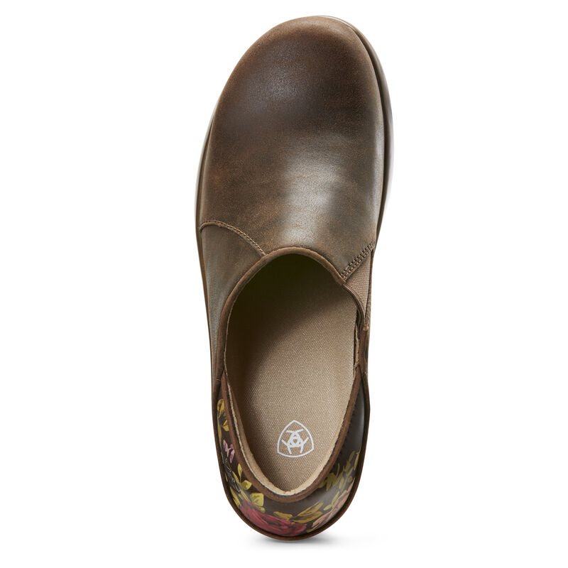 Ariat Hera Expert Clogs Ženske Klompe Smeđe | HR-051259