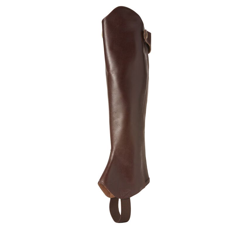 Ariat Kendron Chap Half Chap Muške Half Chaps Bordo | HR-235098