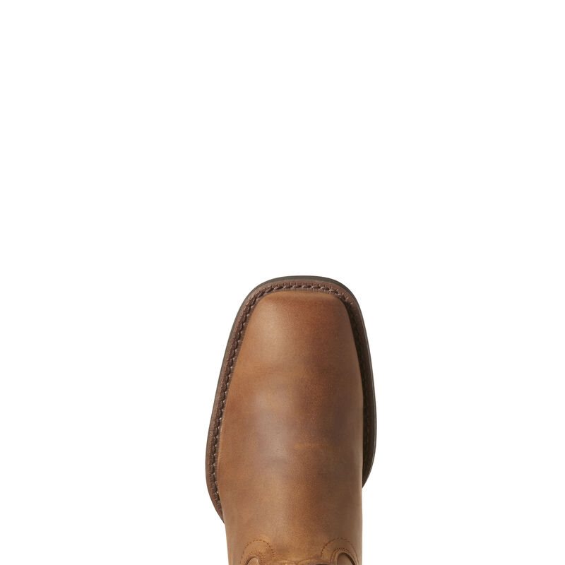 Ariat Roper Wide Square Toe Ženske Čizme Za Kaubojku Smeđe | HR-618250