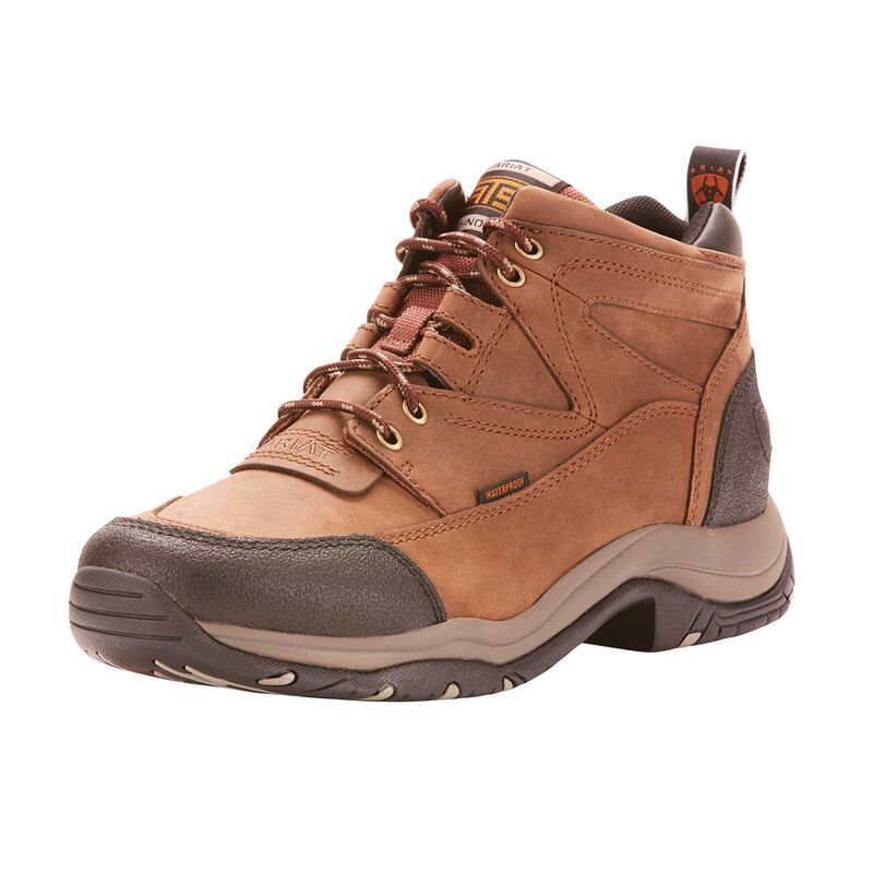 Ariat Terrain Waterproof Muške Vanjske Čizme Smeđe | HR-452469