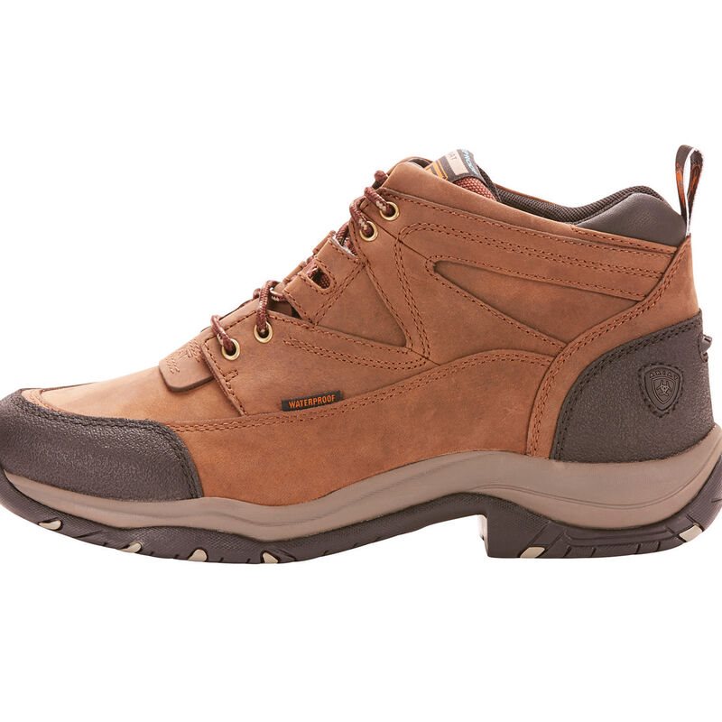 Ariat Terrain Waterproof Muške Vanjske Čizme Smeđe | HR-452469