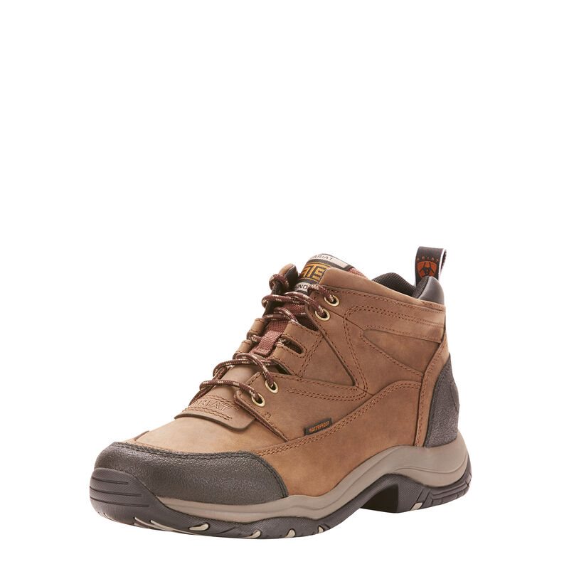 Ariat Terrain Waterproof Muške Vanjske Čizme Smeđe | HR-452469