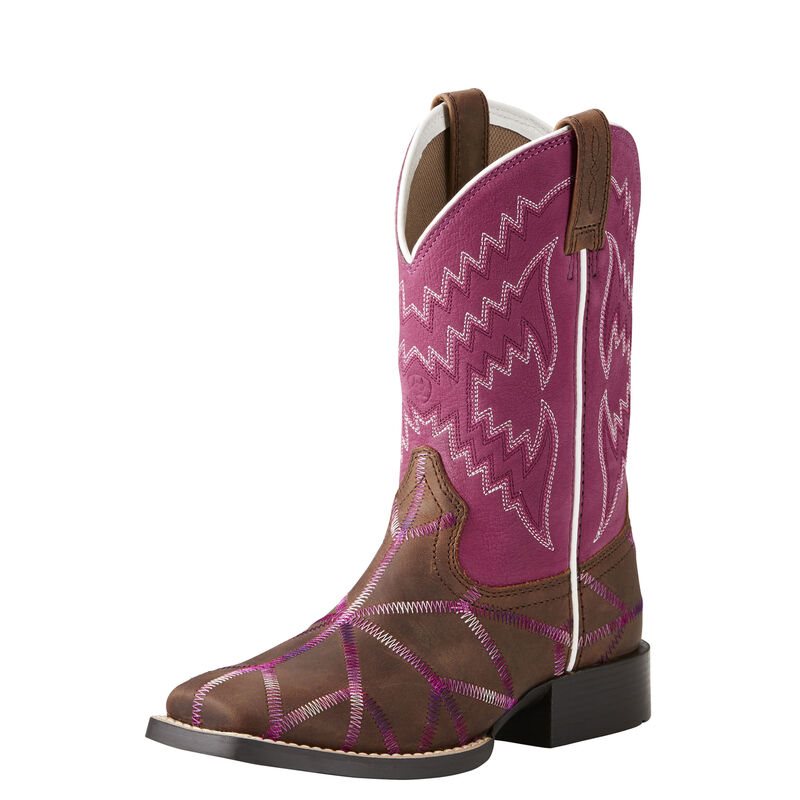 Ariat Twisted Tycoon Dječje Kaubojske Čizme Smeđe Ljubičaste Roze | HR-882252